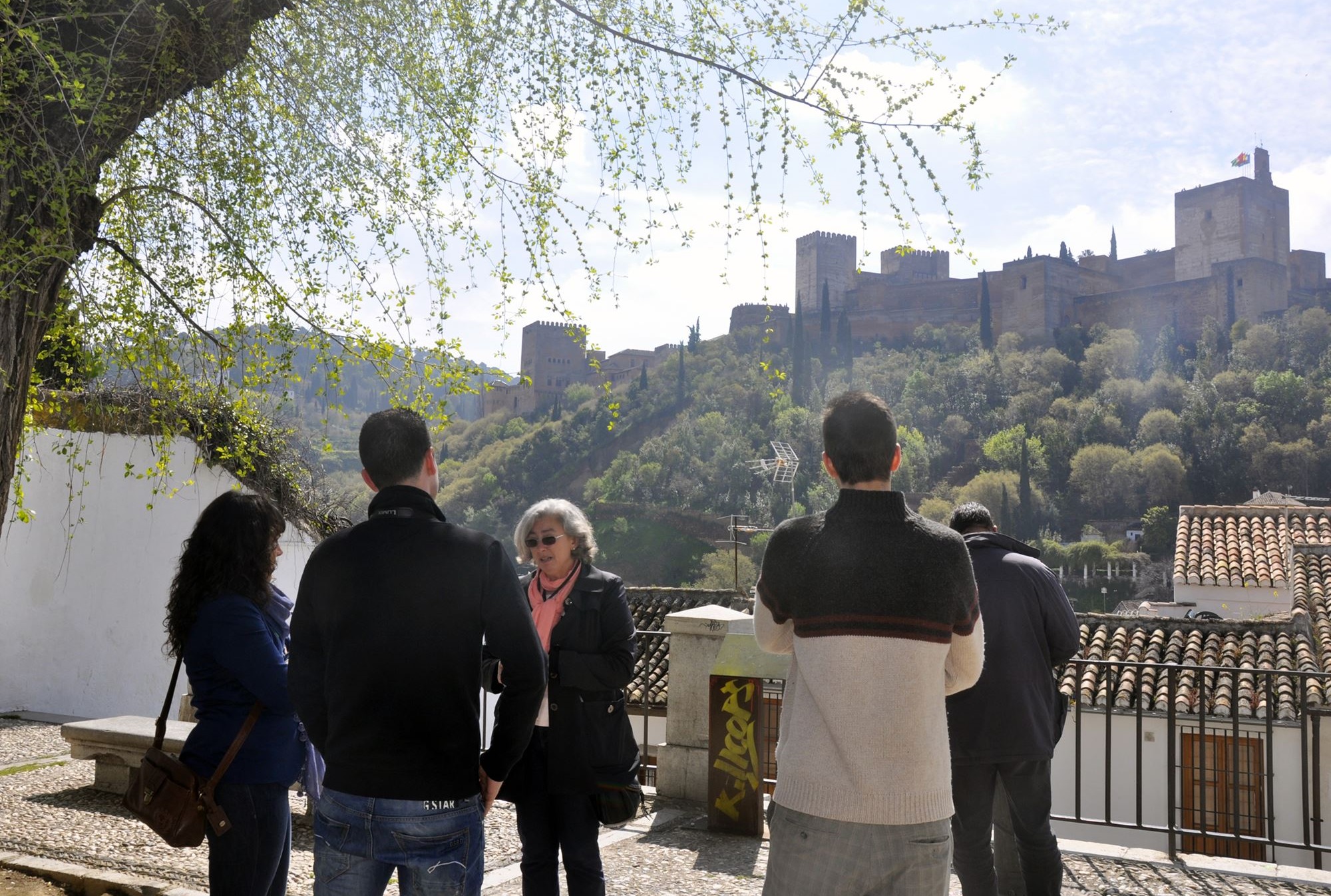 booking guided tours must-do interested interesting places Essential historical city centre Granada
